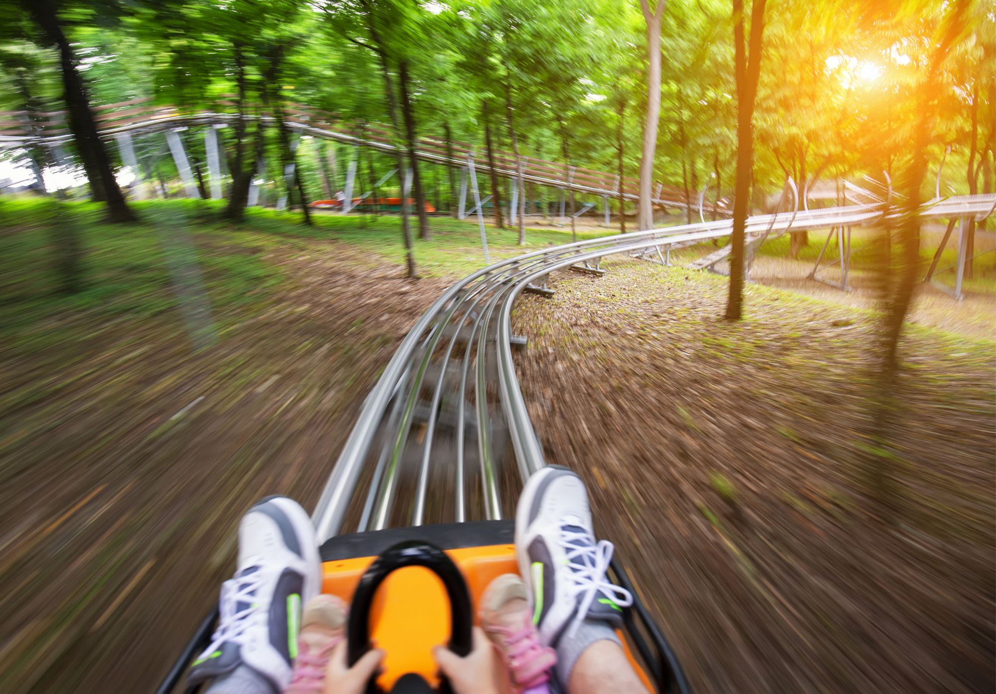 Calendar MWR Tour Triberg Coaster and Clocks Stuttgart