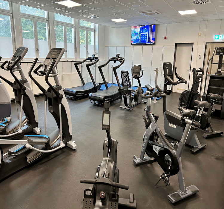 Patch Fitness Center — Ellipticals and Spin Bikes