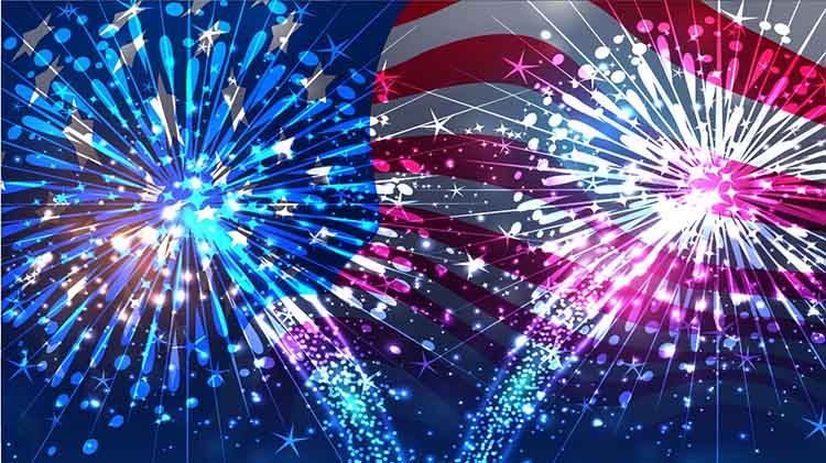 Independence Day Celebration 2020 Independence Day Celebration 2020