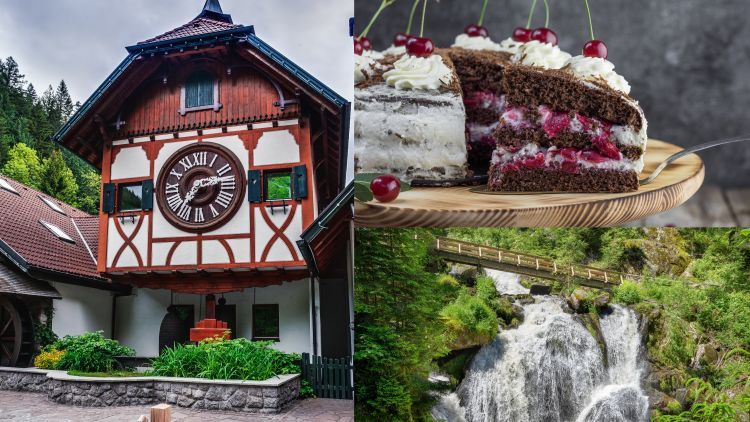 Schnapps Fountain Path