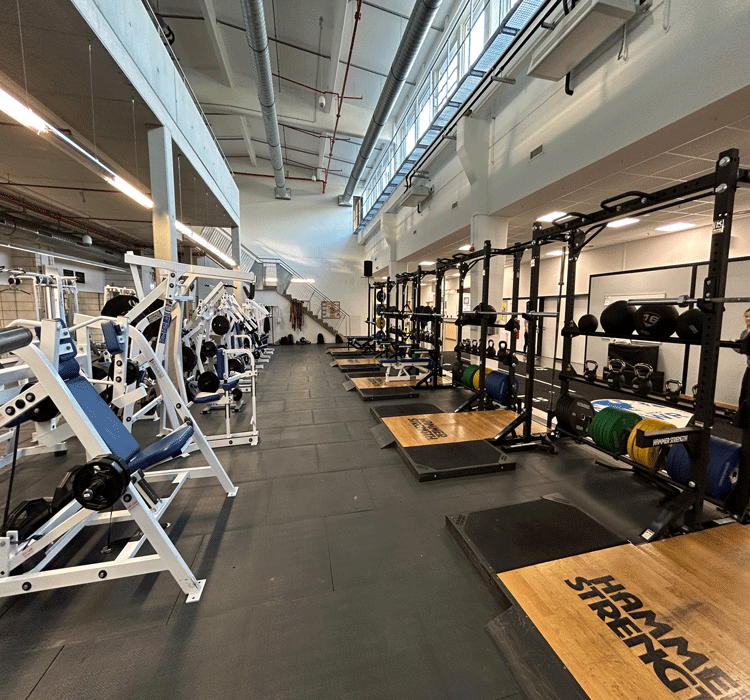 Patch Fitness Center — Weight Room